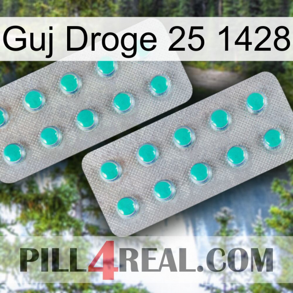 Guj Drug 25 1428 29.jpg